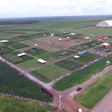 Dinetec Canarana 2016